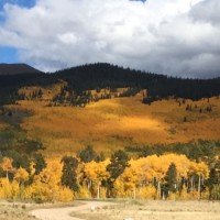 it's fall! get ready for snowboard season