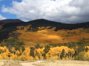 it's fall! get ready for snowboard season